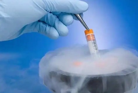 〖上海同性恋想要孩子怎做〗代生宝宝不会爬?这样训练有效助力代生宝宝成长