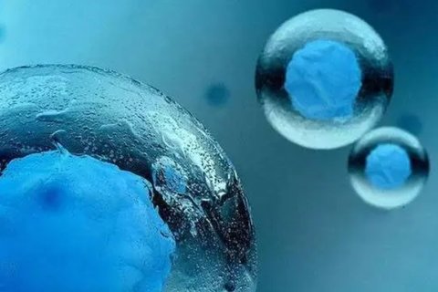 代生宝宝辅食中的营养宝藏——冬瓜